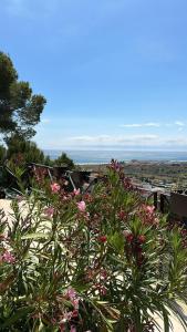Green Houses of L'Estartit - 3hvězdičkové hotely ve městě L'Estartit