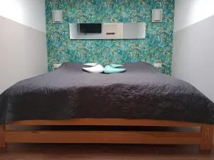 Mieszkanie na Wygodzie M1 - Jurowce