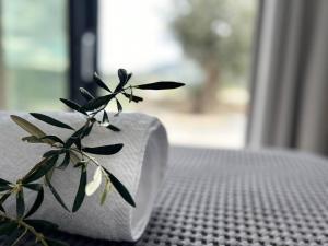 Go-Blue Star, Villa Sea