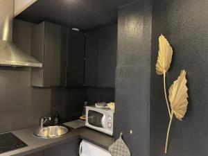 Appartements Le Cocon de Bastet, Figeac coeur de Ville : photos des chambres