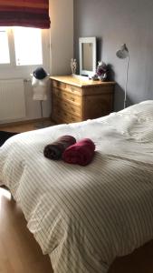 Appartements Du cote des vignes en Alsace : photos des chambres