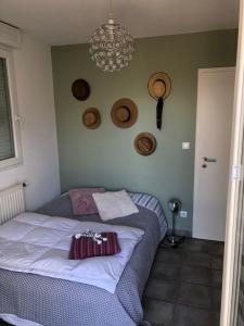 Appartements Du cote des vignes en Alsace : photos des chambres