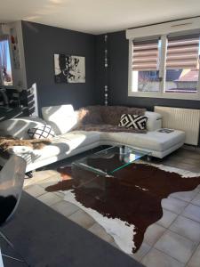 Appartements Du cote des vignes en Alsace : photos des chambres