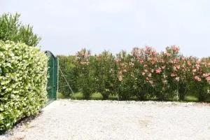 CA ADELAIDE APPARTAMENTO IN RANCH CON GIARDINO - Salute