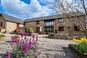 Wagtail Barn - Ipplepen