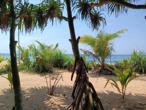 Edmon Beach Villa