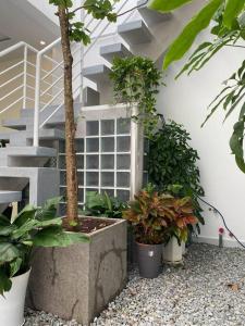 Bloom House - Homestay Vung Tau