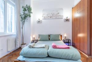 Two Homelike Apartments by NDK and Vitosha Blvd with 2 Free Parking Spots