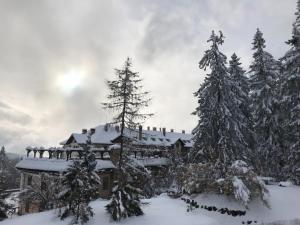 Vacanze Val di Non - Appartamento Passo della Mendola