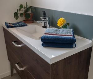 B&B / Chambres d'hotes Le Chene Olivet : photos des chambres