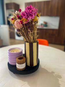 Grand T3 dans le centre historique