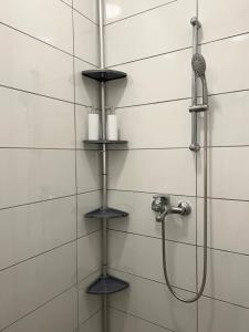 Grajski kamen apartment