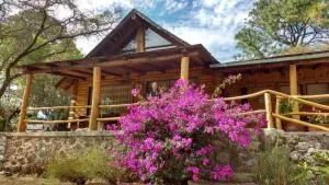 Cabaña en el bosque de Tapalpa - 塔帕尔帕