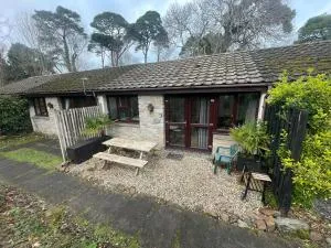 Woodland bungalow, fantastic location - Uny Lelant