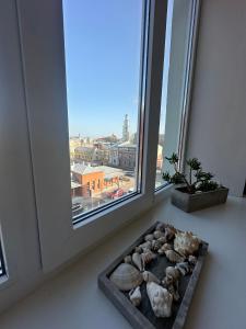 Green Amber Apartment