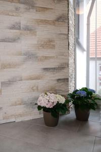 SchlossCasa Lauf an der Pegnitz Zimmer Paris