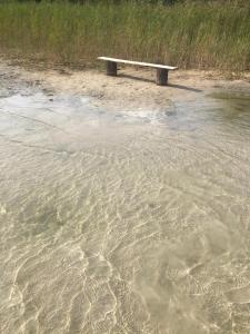 Wakacje Mazury, Willa Ametyst, natura, ptasi śpiew