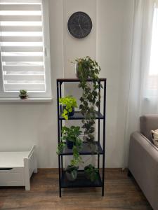 Kuća za odmor Erdelji