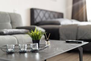 Modernes Appartment im Golfresort & Thermenzugang