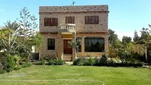 Suzie - El-Shaikh Mabrouk