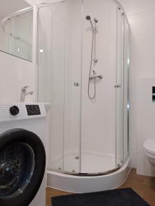 Mieszkanie na Wygodzie M1-parking free