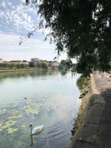 Rez de jardin Cosy entre Disney et Paris