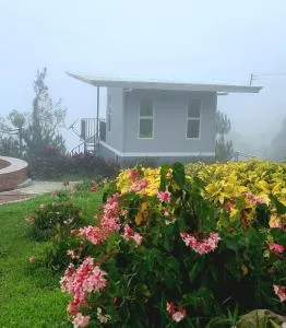 Serene Mountain Escape - Manongol