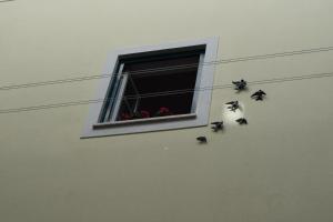 Acolhedor Apartamento Em Alfama