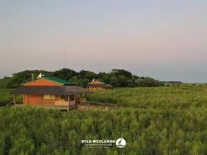 Wild Wetlands Lodge - Loreto
