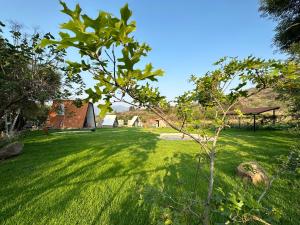 Chalets Encino Saúco