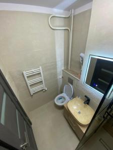 Studio modern Vitan-Mihai Bravu