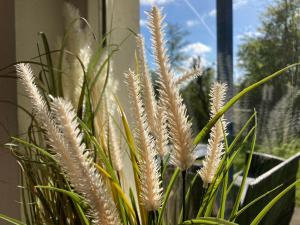 Grachthaus 6pers House with a private terrace and garden by the Lauwersmeer
