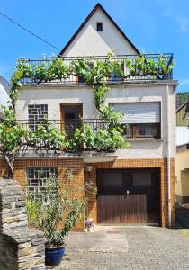 Weinstock - klimatisierte Ferienwohnung mit Sonnenterrasse