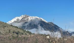 Rez de jardin, entre mer et montagne