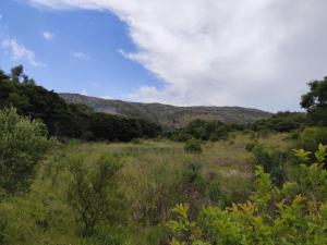 Bethesda Mountain Lodge