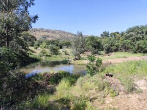 Bethesda Mountain Lodge