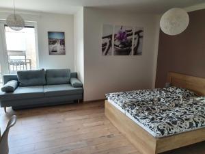 DomirexGroup Apartments