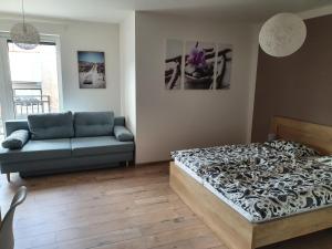 DomirexGroup Apartments