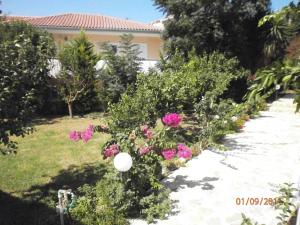 Elea Hotel Apartments and Villas Zakynthos Greece