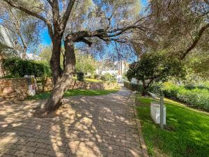 APPARTAMENTO 415 img19