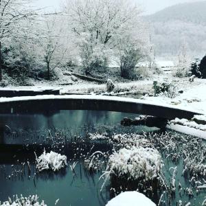 Ferienwohnungen Landliebe "Auszeit mit Wohlgefühl"