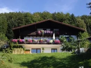 Angela Siedl - Plainfeld