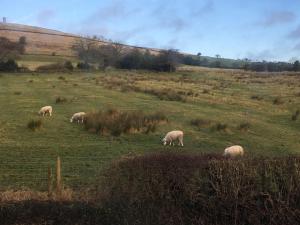 Sanctuary Cottage at Blacko