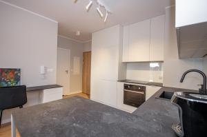 InPoint Tauron Arena Apartment with Free Parking - Lema St 17