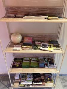 Appartement avec jardin centre ville de Belfort