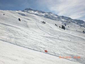 Haus Riedmüller Alexandra WLan- Skidepod GRATIS