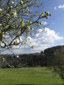 Pircherhof - Urlaub und Erholung im Troadkostn