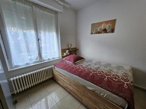 Studios Immostrasbourg - hébergements de tourisme classés proche centre et Conseil dEurope