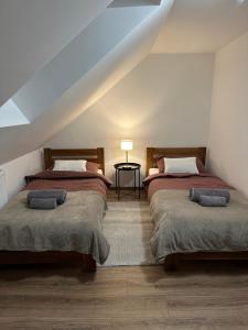 Bartosówka Apartament