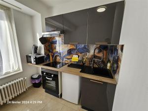 Immostrasbourg - hébergements de tourisme classés proche centre et Conseil dEurope